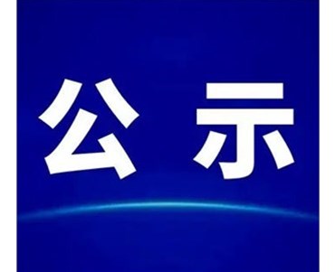 关于石化区石化公用管廊（滨海大道-滨海十二路段）二期项目施工招标计划标前公示